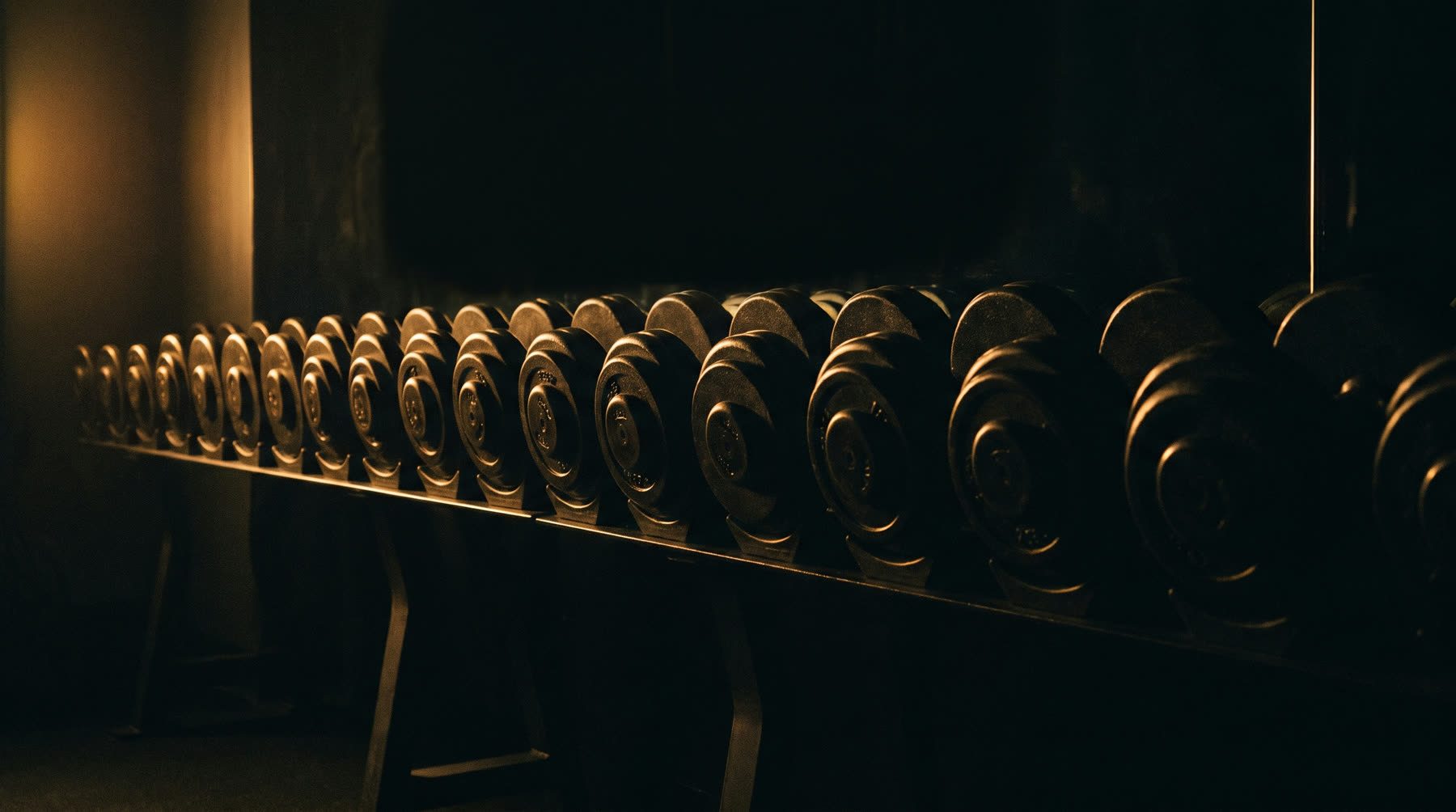 A rack of dumbbells in the gym